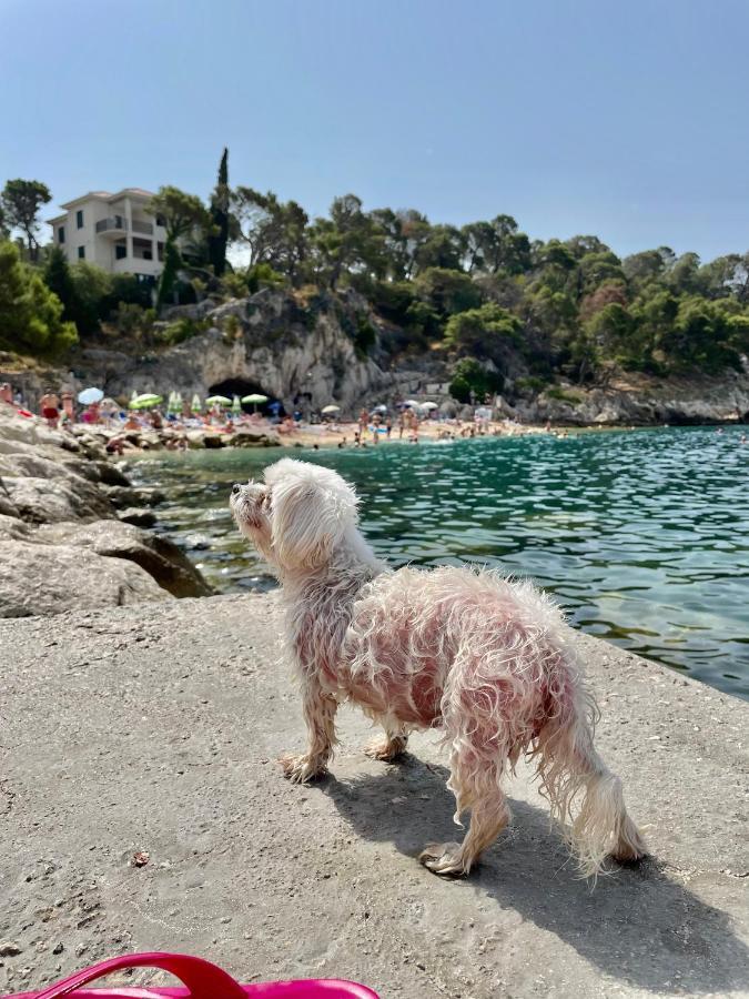 Ita Pet Friendly * Makarska