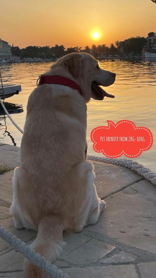 Ita Pet Friendly Apartman