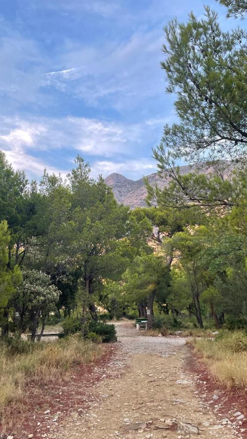 Apartman Ita Pet Friendly Makarska