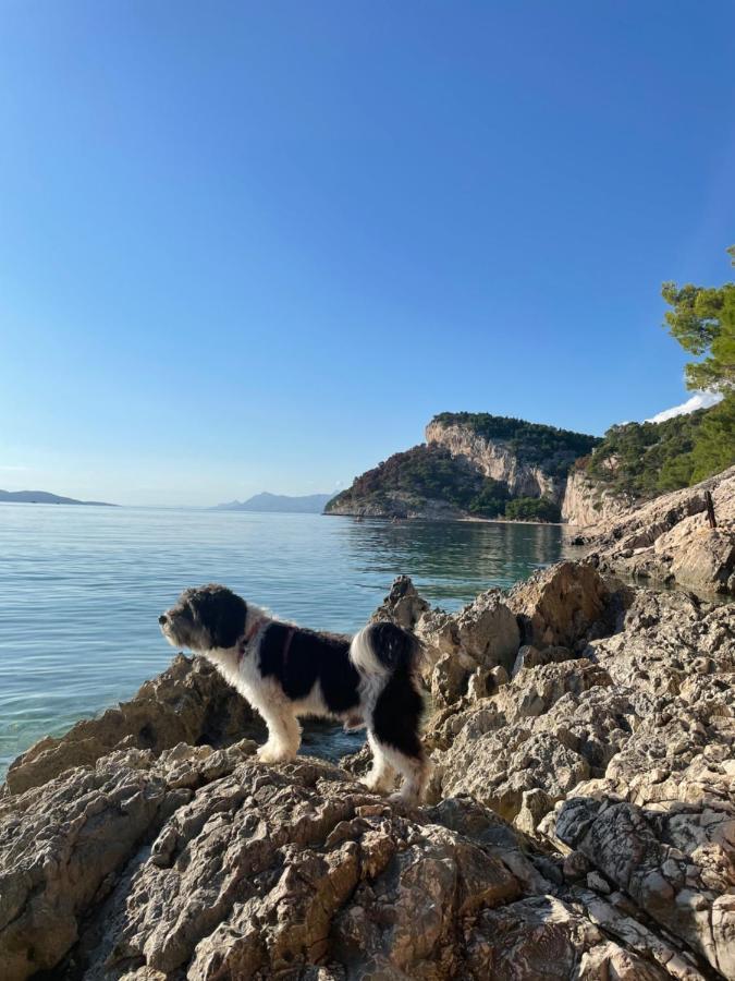 Apartment Ita Pet Friendly