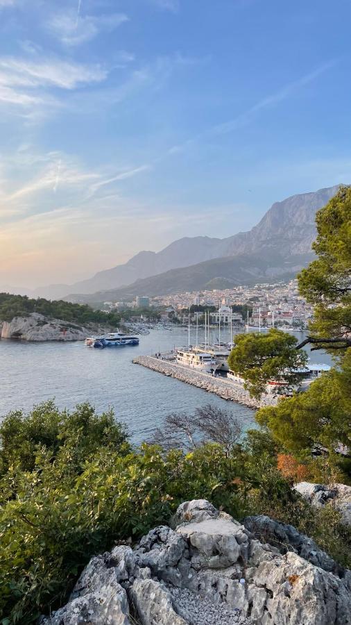 Ita Pet Friendly Makarska