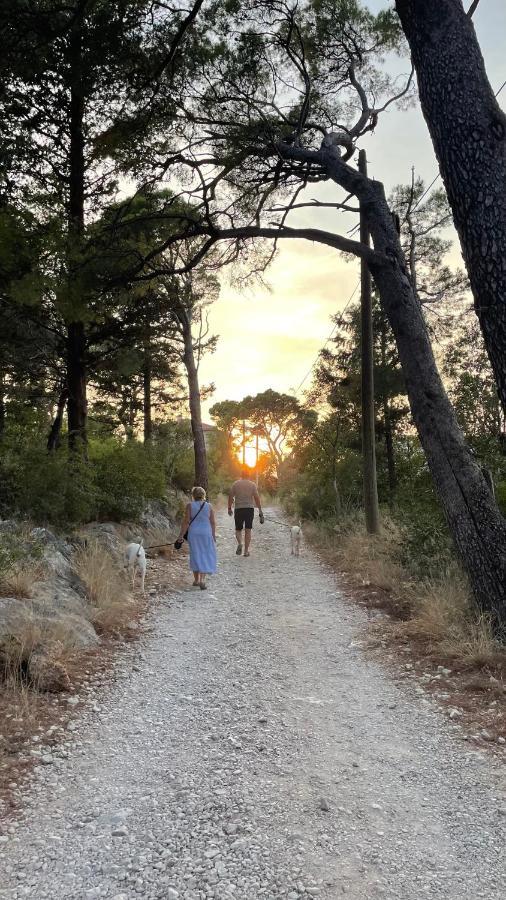 Ita Pet Friendly Apartament Makarska